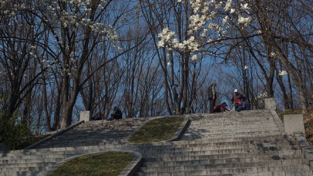 Men play traditional board games as spring blossoms in Seoul, South Korea | photo by P.M.Lydon