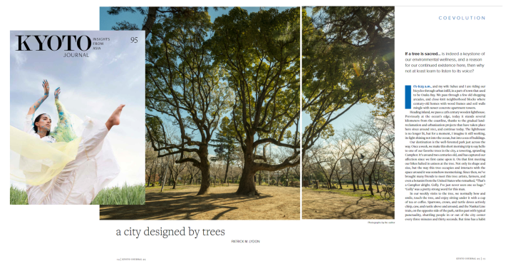A City, Designed by Trees